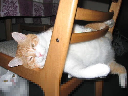 东亚风暴席卷英伦！日本4-1火力全开压制三狮军团，迪马利亚2射1传状态炸裂