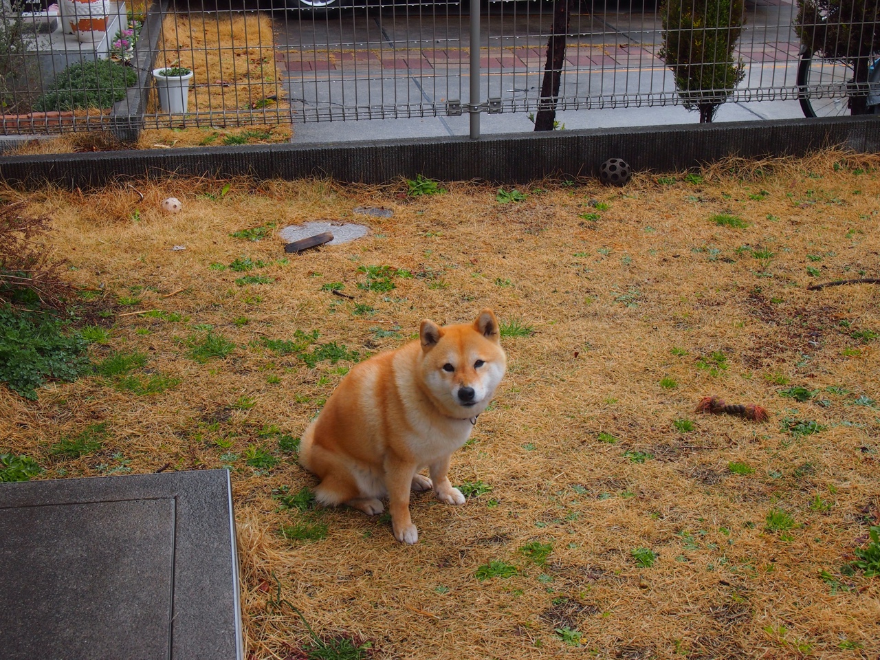 奥纳纳，NBA季后赛之夜，一个名字让悬念提前终结