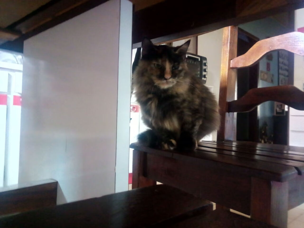 开云体育在线-当新疆飞虎遇见绿军铁蹄，从德文·布克的节奏暴政，看中国篮球最缺失的一堂课