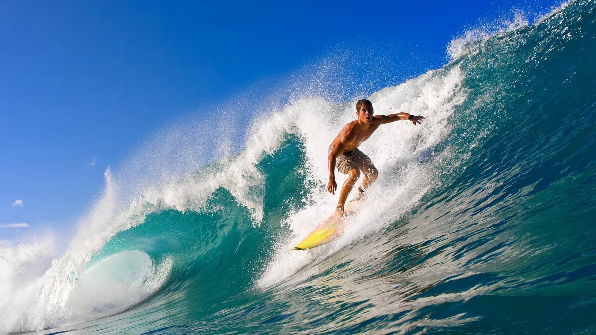 武神降世!武切维奇存在感拉满轰29+14,猛龙爆冷撕裂热火防线